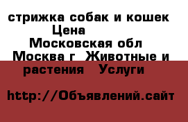 стрижка собак и кошек › Цена ­ 1 400 - Московская обл., Москва г. Животные и растения » Услуги   